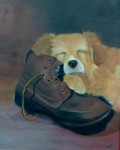 slapende pup met schoen slapende pup met schoen