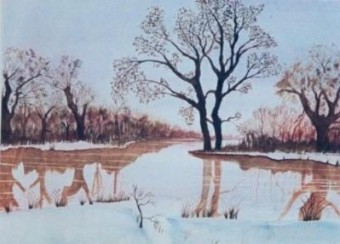 winter winter
