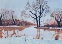 winter winter