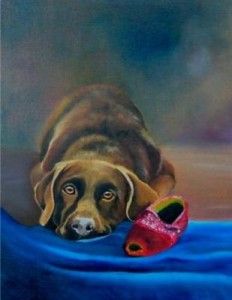 hond met slof hond met slof
