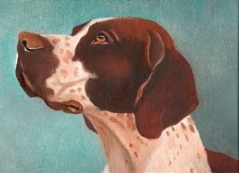 jachthond portret jachthond portret