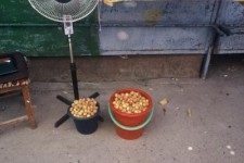 Almaty,Fruitemmers Almaty,Fruitemmers