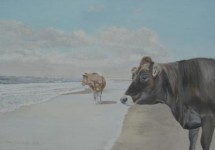 twee koeien strand twee koeien strand