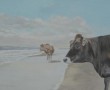 twee koeien strand Kunstwerk twee koeien strand