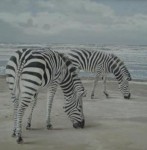 zebra zebra