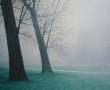 bomen in de mist Kunstwerk bomen in de mist