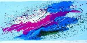Swimming seabirds I1 Swimming seabirds I1