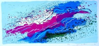 Swimming seabirds I1 Swimming seabirds I1