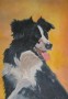 border collie Kunstwerk border collie