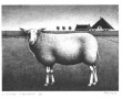 Kunstwerk Schaap