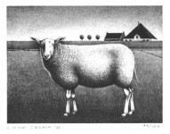 Schaap