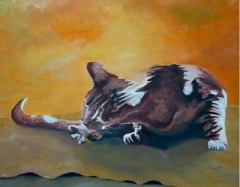 wassende kat wassende kat