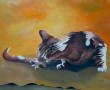 wassende kat Kunstwerk wassende kat