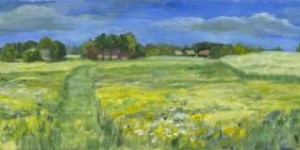 Drents landschap Drents landschap