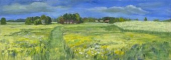 Drents landschap Drents landschap