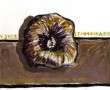 Dohmophyllum Cyathoides Kunstwerk Dohmophyllum Cyathoides