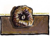 Dohmophyllum Cyathoides Dohmophyllum Cyathoides