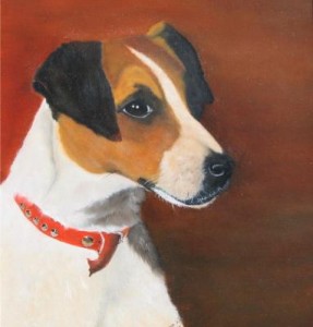 Jack Russel Jack Russel