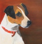 Jack Russel