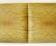 SKIN2SKIN Kunstwerk SKIN2SKIN