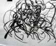 warhoofd Kunstwerk warhoofd