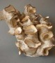 040308 Kunstwerk 040308