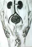 Bilharzia Bilharzia
