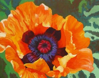 papaver four papaver four