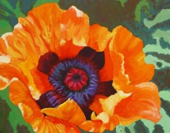 papaver four