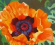 papaver four Kunstwerk papaver four