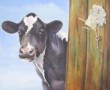 grondbeperking Kunstwerk grondbeperking