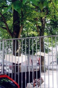 WhitE Elements (1a.)  / Rotterdam / Baum 4 & 5 WhitE Elements (1a.)  / Rotterdam / Baum 4 & 5