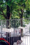 WhitE Elements (1a.)  / Rotterdam / Baum 4 & 5 WhitE Elements (1a.)  / Rotterdam / Baum 4 & 5
