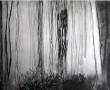 zonder titel Kunstwerk zonder titel