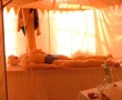 het plastisch chrirurgisch circus het plastisch chrirurgisch circus
