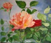 Bloemen: . Wilde Roos(2) Kunstwerk Bloemen: . Wilde Roos(2)
