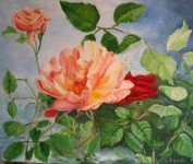 Bloemen: . Wilde Roos(2) Bloemen: . Wilde Roos(2)
