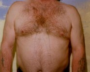 bellyboxer bellyboxer