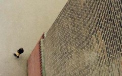 Still (detail) Still (detail)
