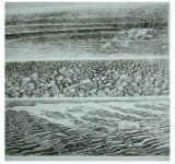 zeezand zwart/wit zeezand zwart/wit