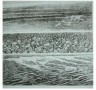 zeezand zwart/wit Kunstwerk zeezand zwart/wit