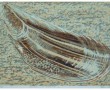 Groeten uit Zeeland_1 Kunstwerk Groeten uit Zeeland_1