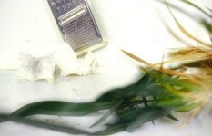 easy kit/leaves easy kit/leaves