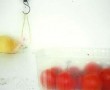 easy kit/tomato Kunstwerk easy kit/tomato