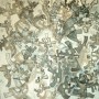 fractalgeneratie nr 21 Kunstwerk fractalgeneratie nr 21