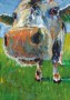 Zoete Kunstwerk Zoete