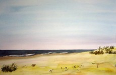 Terschellingerstrand - 1 Terschellingerstrand - 1