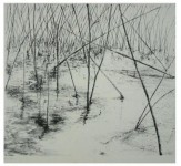 landschap 1 landschap 1