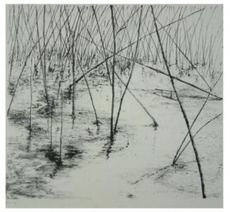 landschap 1 landschap 1