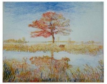 landschap 3 landschap 3